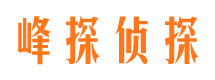 东源市调查公司